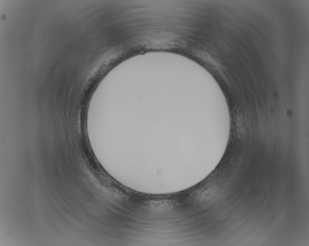 X0000067390686200604281843