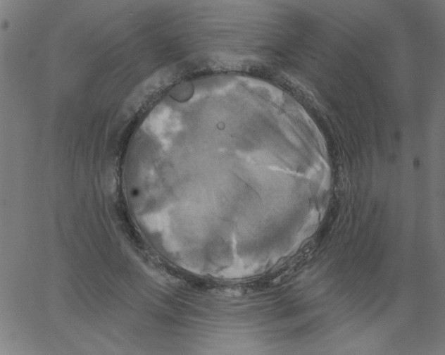 X0000067390687200604281843