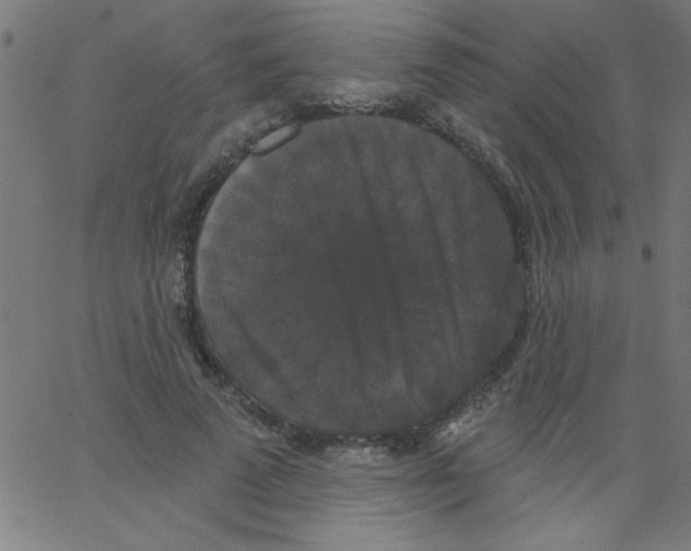 X0000067390689200604281843