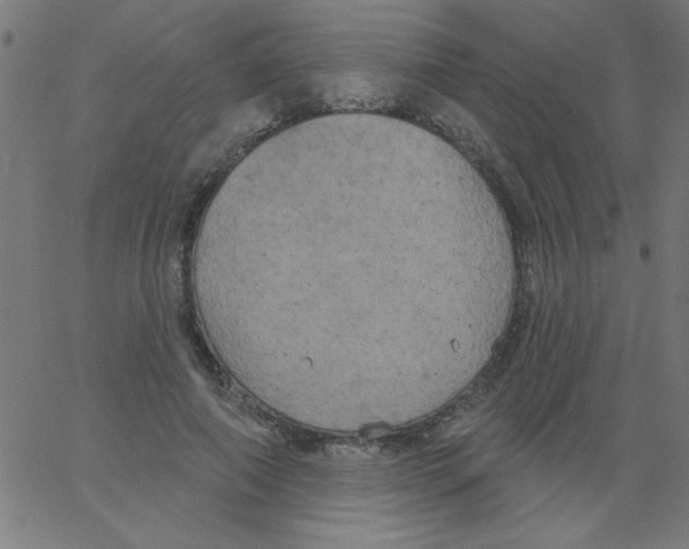 X0000067390690200604281843