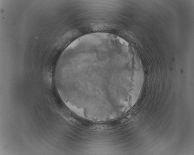 X0000067390691200604281843