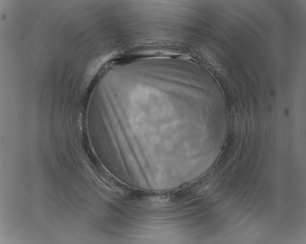 X0000067390692200604281842