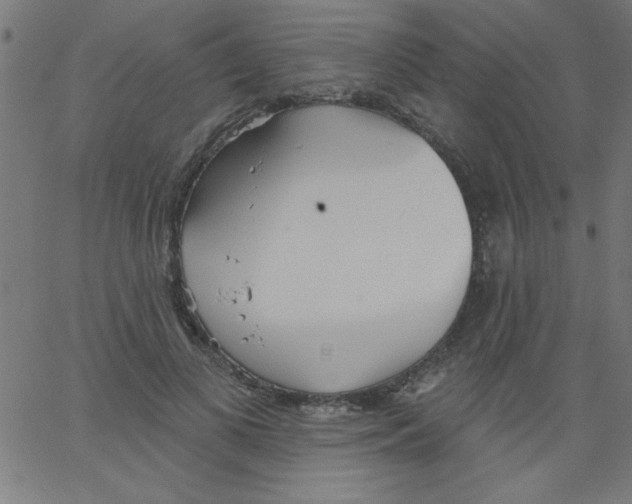 X0000067390693200604281842