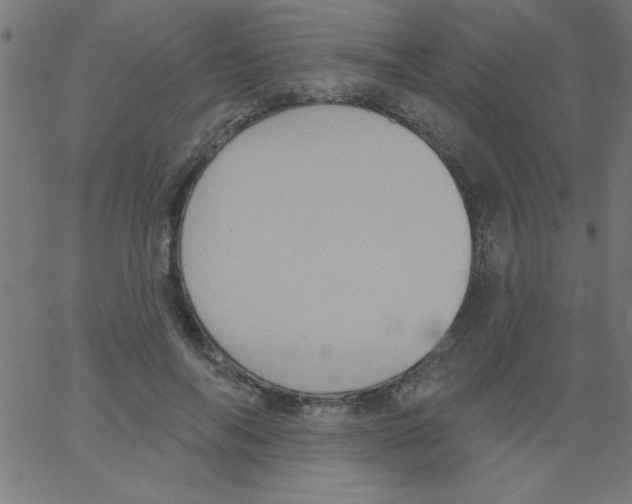 X0000067390694200604281842