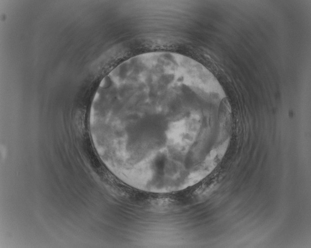 X0000067390695200604281842