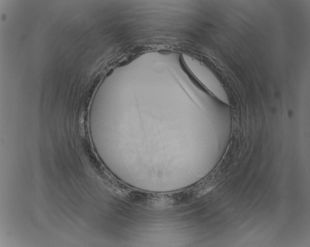 X0000067390696200604281842