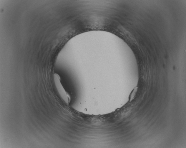 X0000067390697200604281842