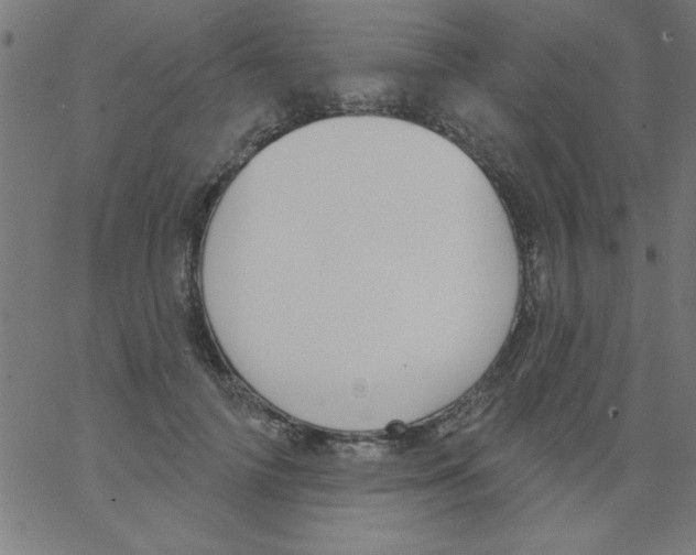 X0000067390698200604281842