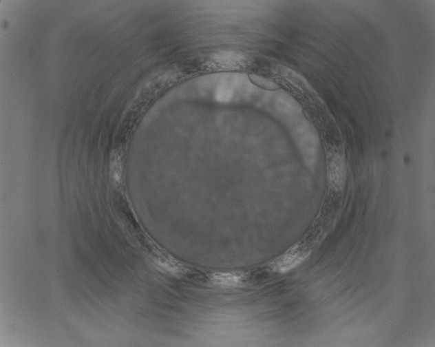 X0000067390701200604281842