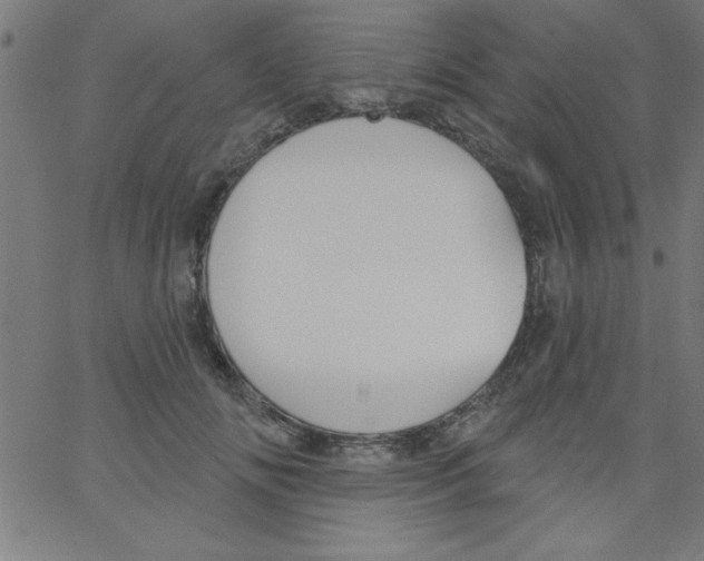 X0000067390702200604281842