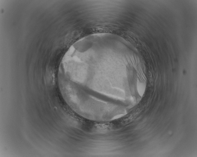 X0000067390703200604281842