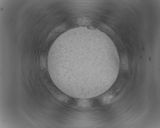 X0000067390705200604281842