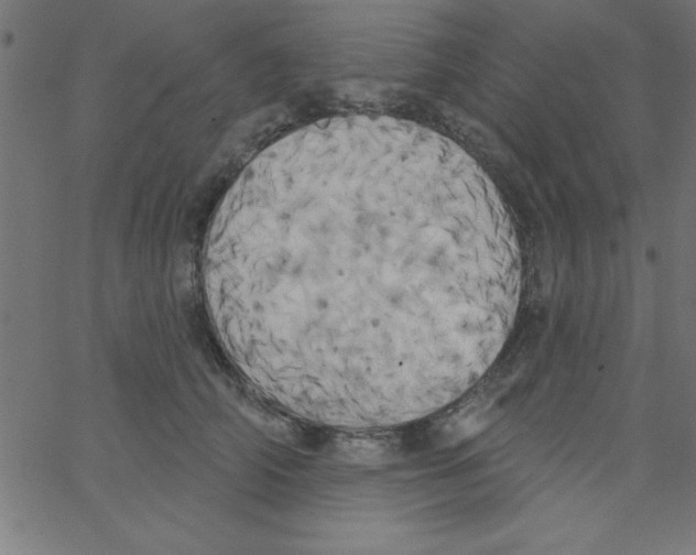 X0000067390706200604281842