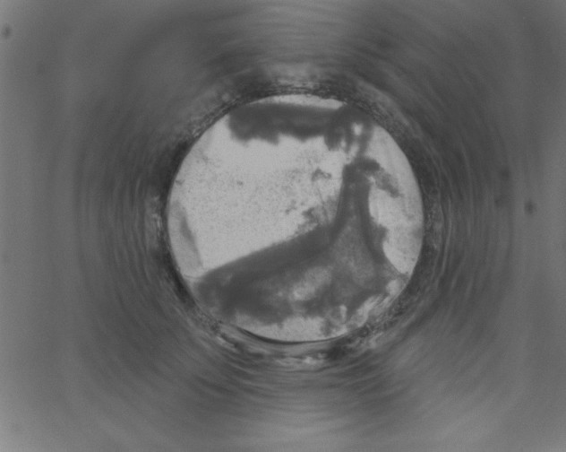 X0000067390707200604281842