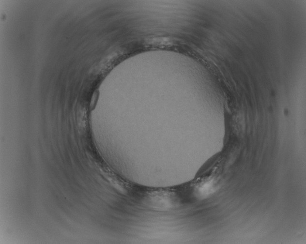 X0000067390708200604281842