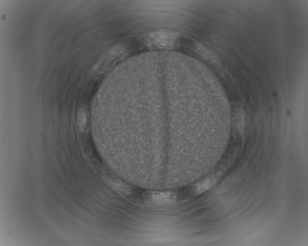 X0000067390709200604281842