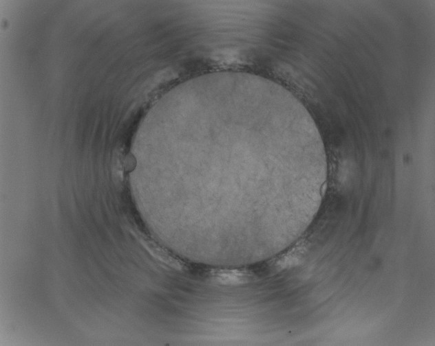 X0000067390710200604281842