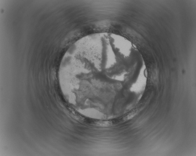 X0000067390711200604281842