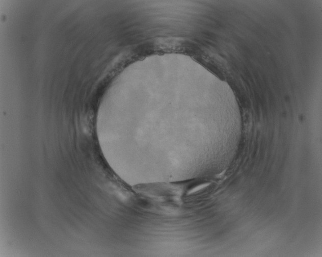 X0000067390712200604281842