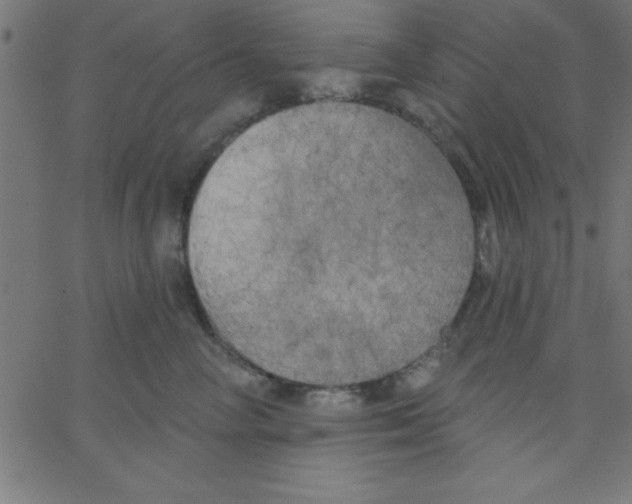 X0000067390714200604281842