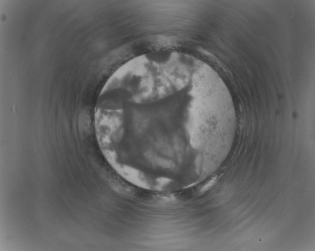 X0000067390715200604281842