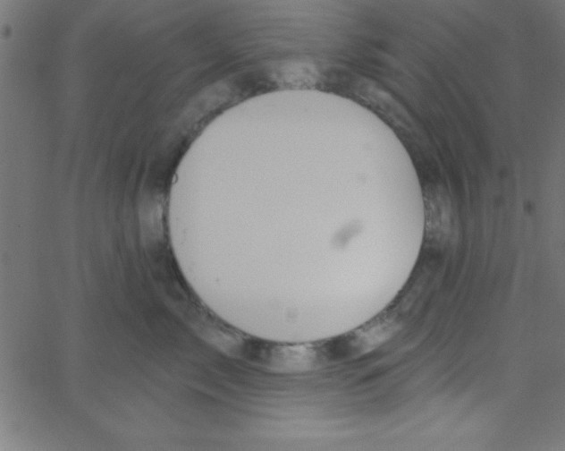 X0000067390717200604281842