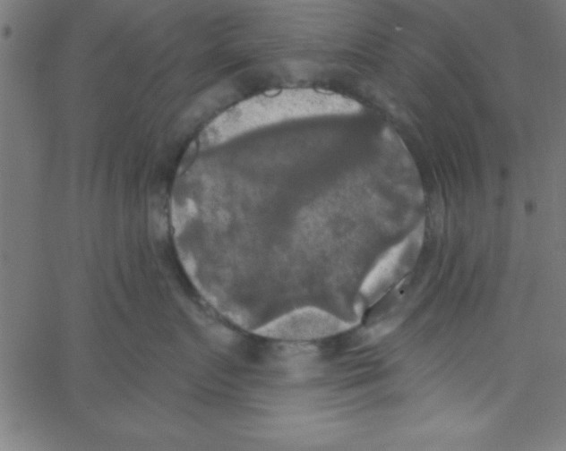 X0000067390719200604281842