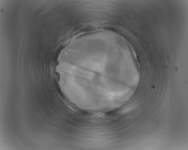 X0000067390720200604281842