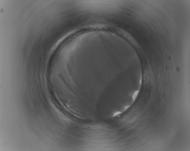 X0000067390722200604281841