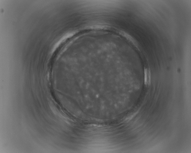 X0000067390723200604281841