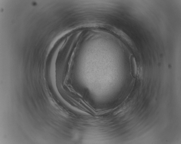 X0000067390724200604281841