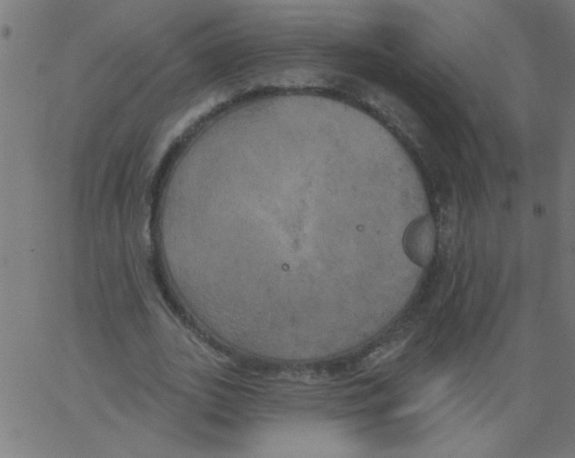 X0000067390727200604281841