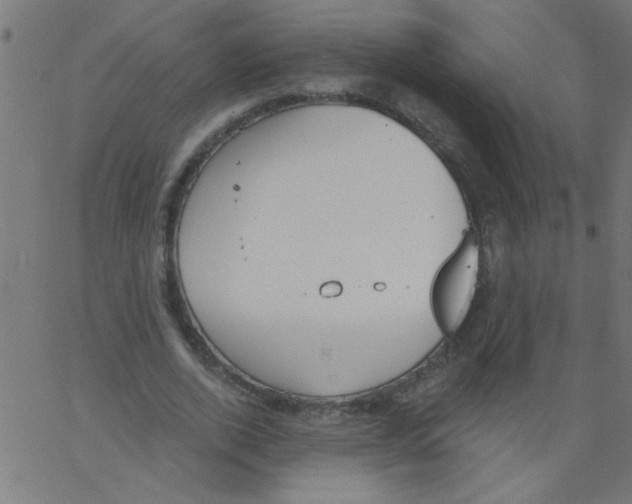 X0000067390728200604281841