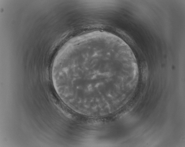 X0000067390729200604281841