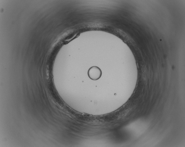 X0000067390731200604281841