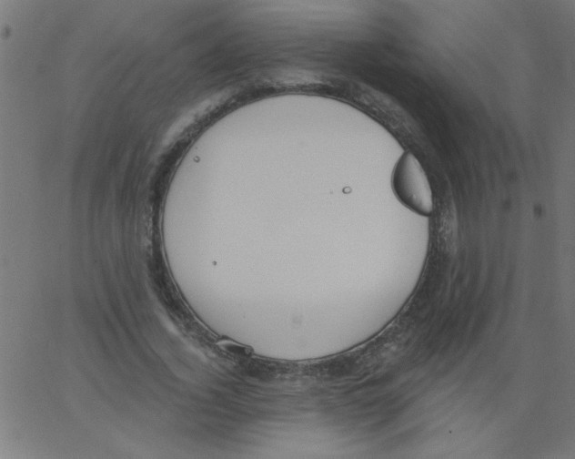 X0000067390732200604281841