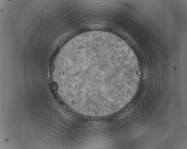 X0000067390733200604281841