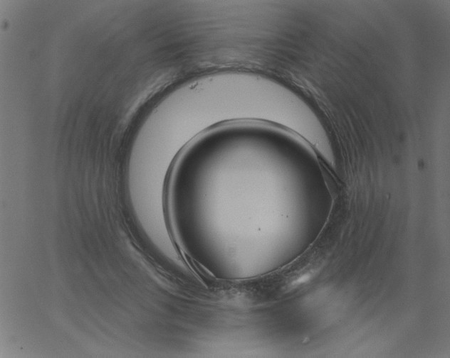 X0000067390735200604281841