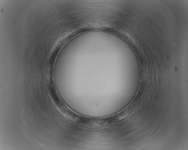 X0000067390736200604281841