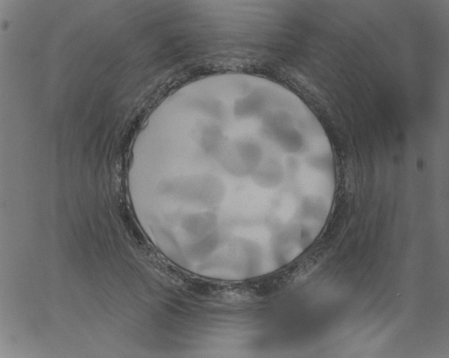 X0000067390737200604281842