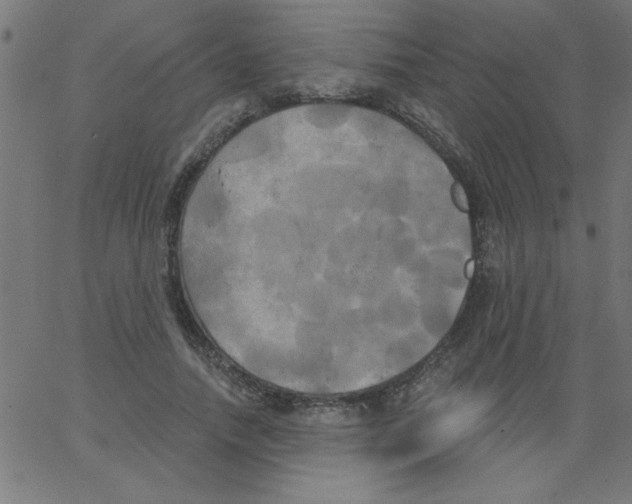 X0000067390738200604281842