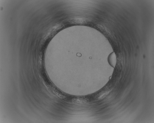 X0000067390739200604281842