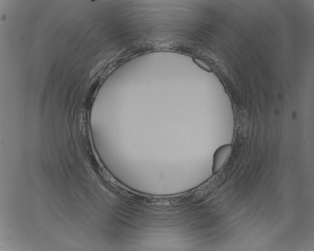 X0000067390740200604281842