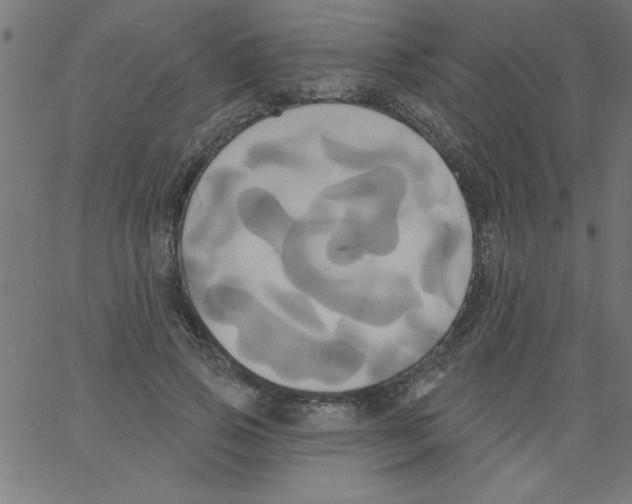 X0000067390741200604281842