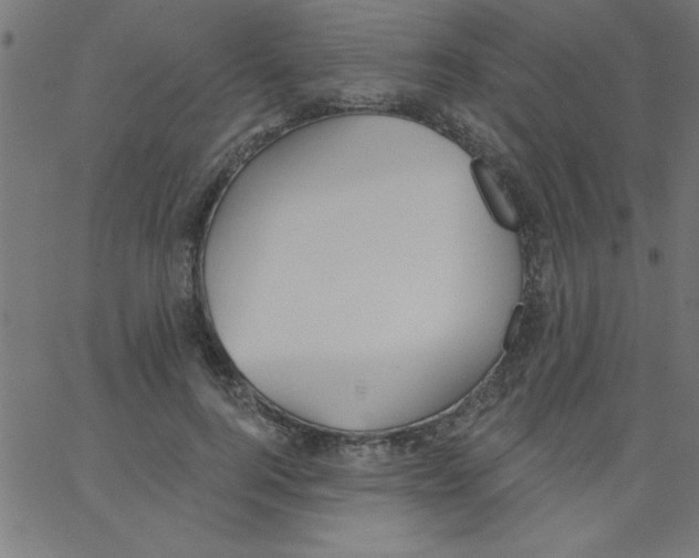 X0000067390744200604281842