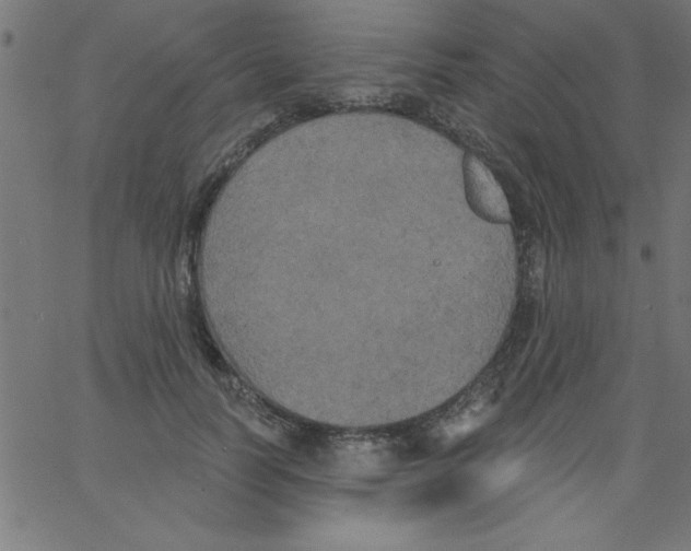 X0000067390746200604281842