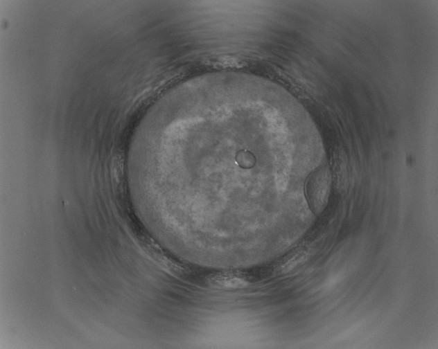 X0000067390747200604281842