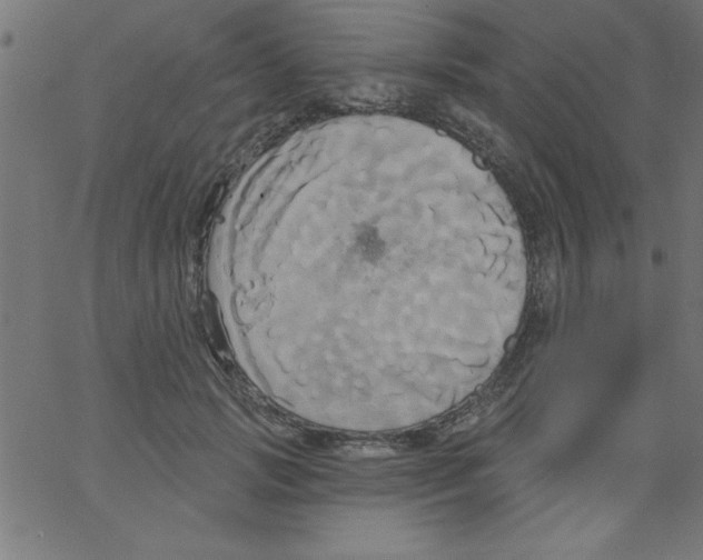 X0000067390749200604281842