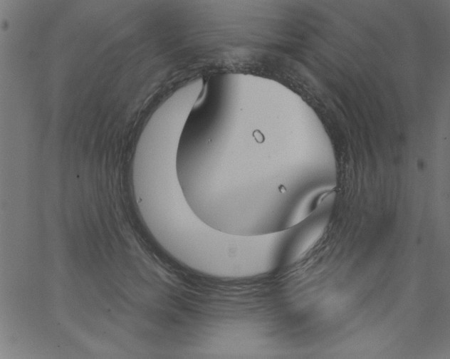 X0000067390750200604281842