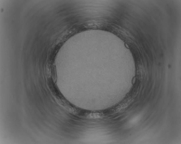 X0000067390751200604281842